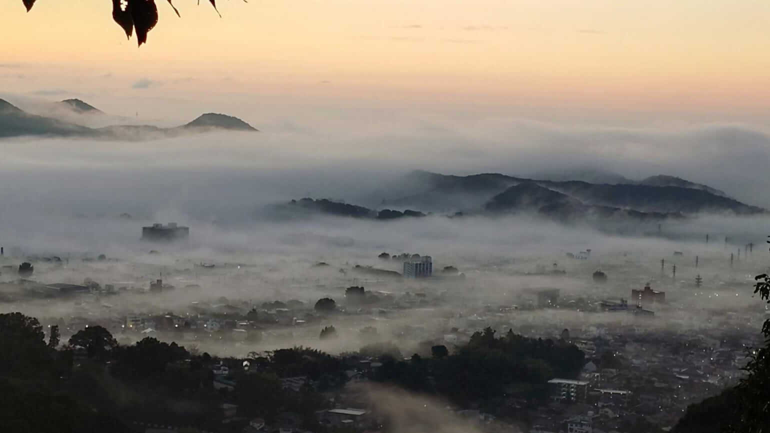 吾妻山から望む朝の桐生市街と雲海