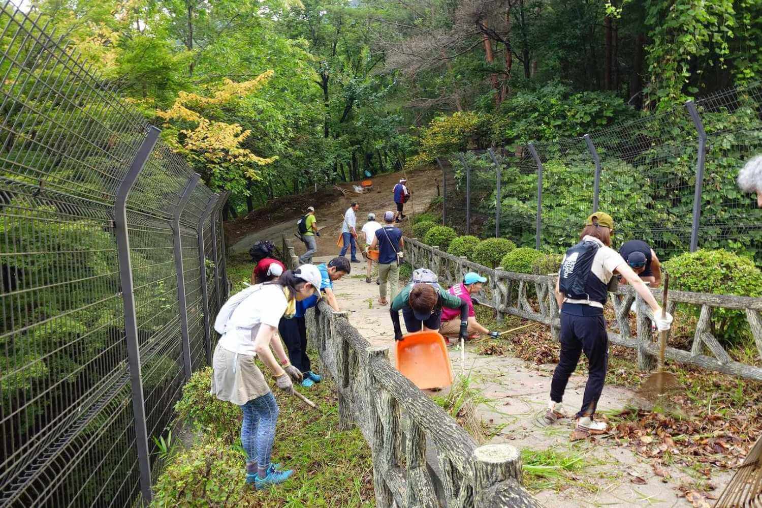 吾妻山友の会の登山道整備・清掃活動