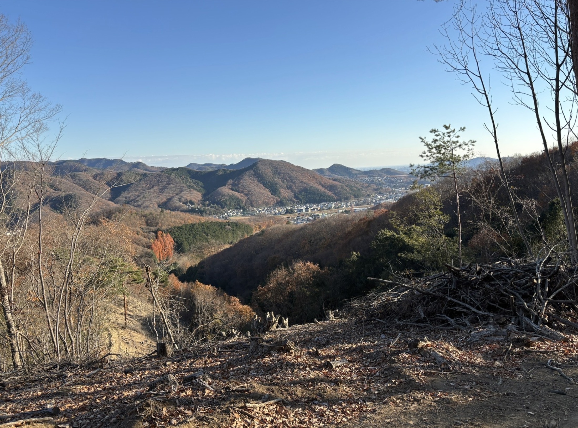 町に近い山域を見渡す眺望